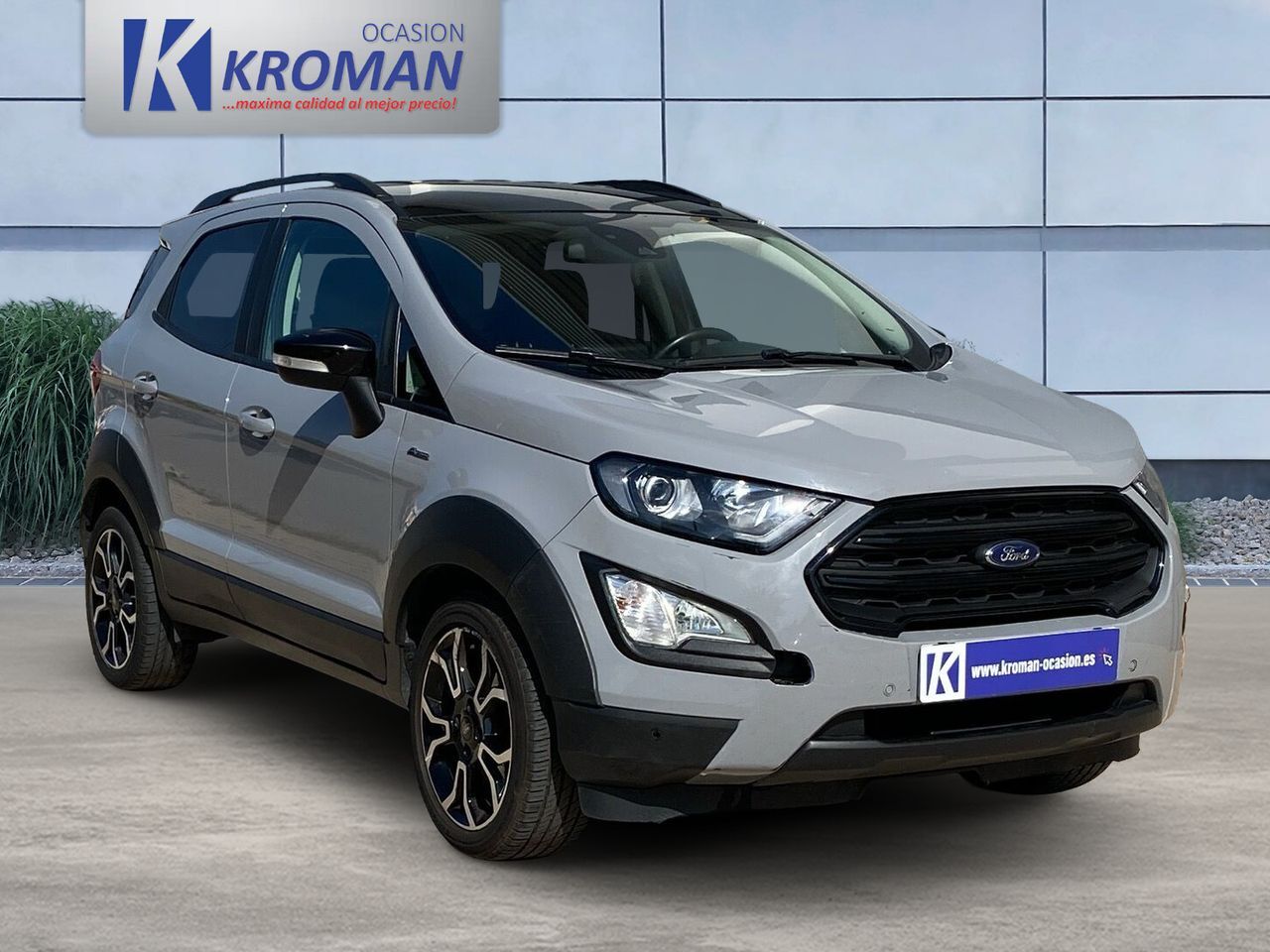 FORD EcoSport (1.0 EcoBoost S&S Active 125cv) en Castellón