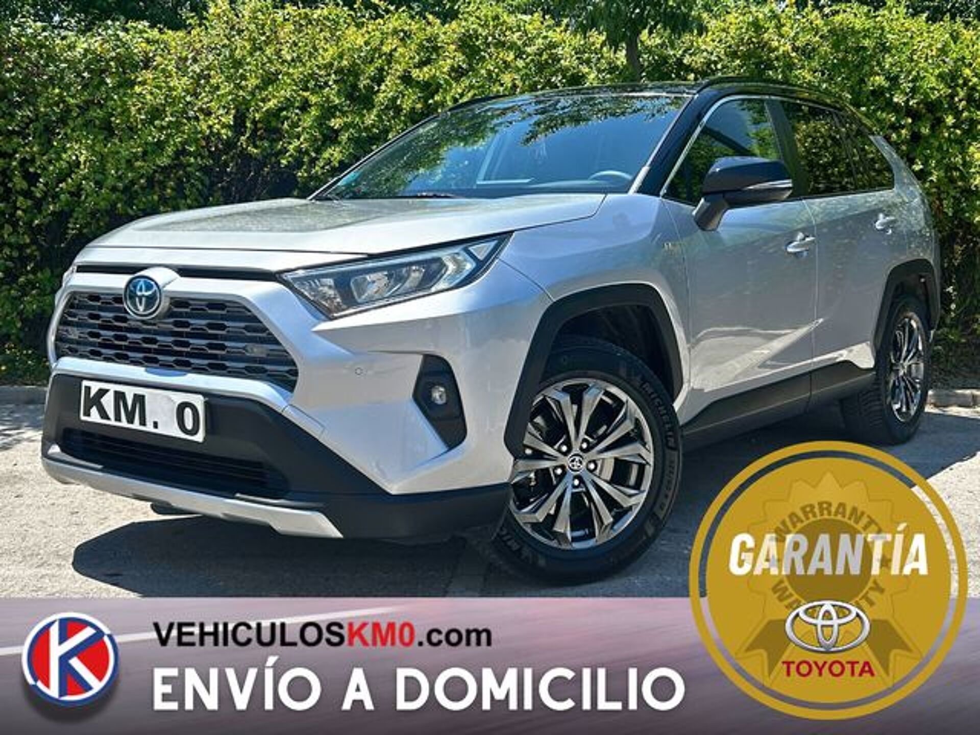 Imagen de TOYOTA RAV-4