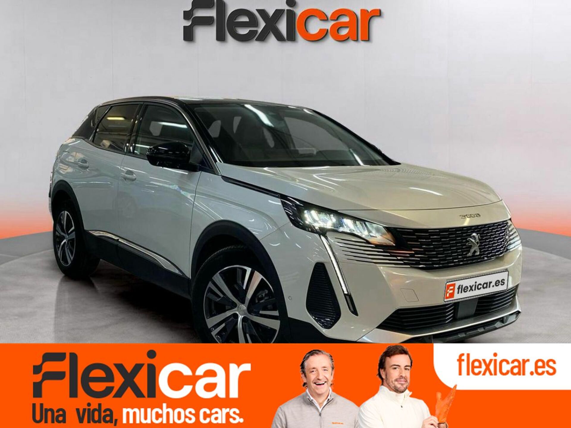 Imagen de PEUGEOT 3008