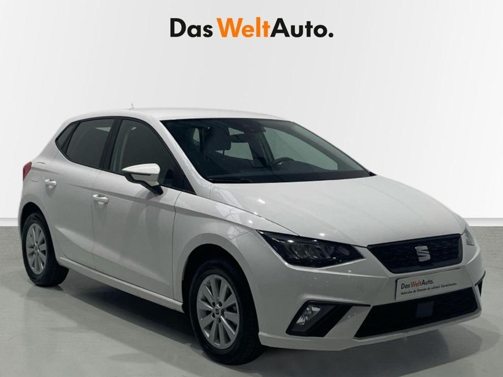 Imagen de SEAT Ibiza
