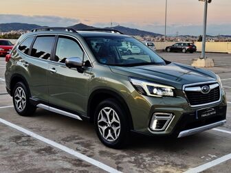 Imagen de SUBARU Forester 2.0i Hybrid Executive Plus CVT