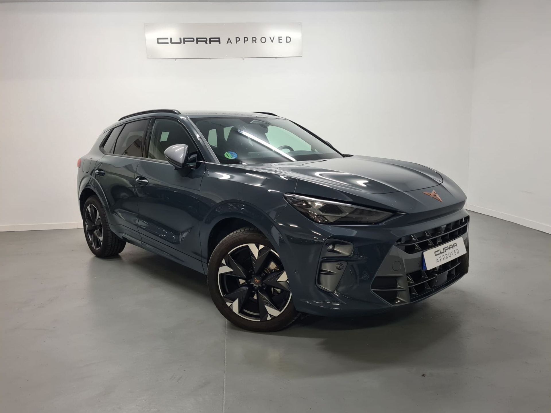 Imagen de CUPRA Terramar