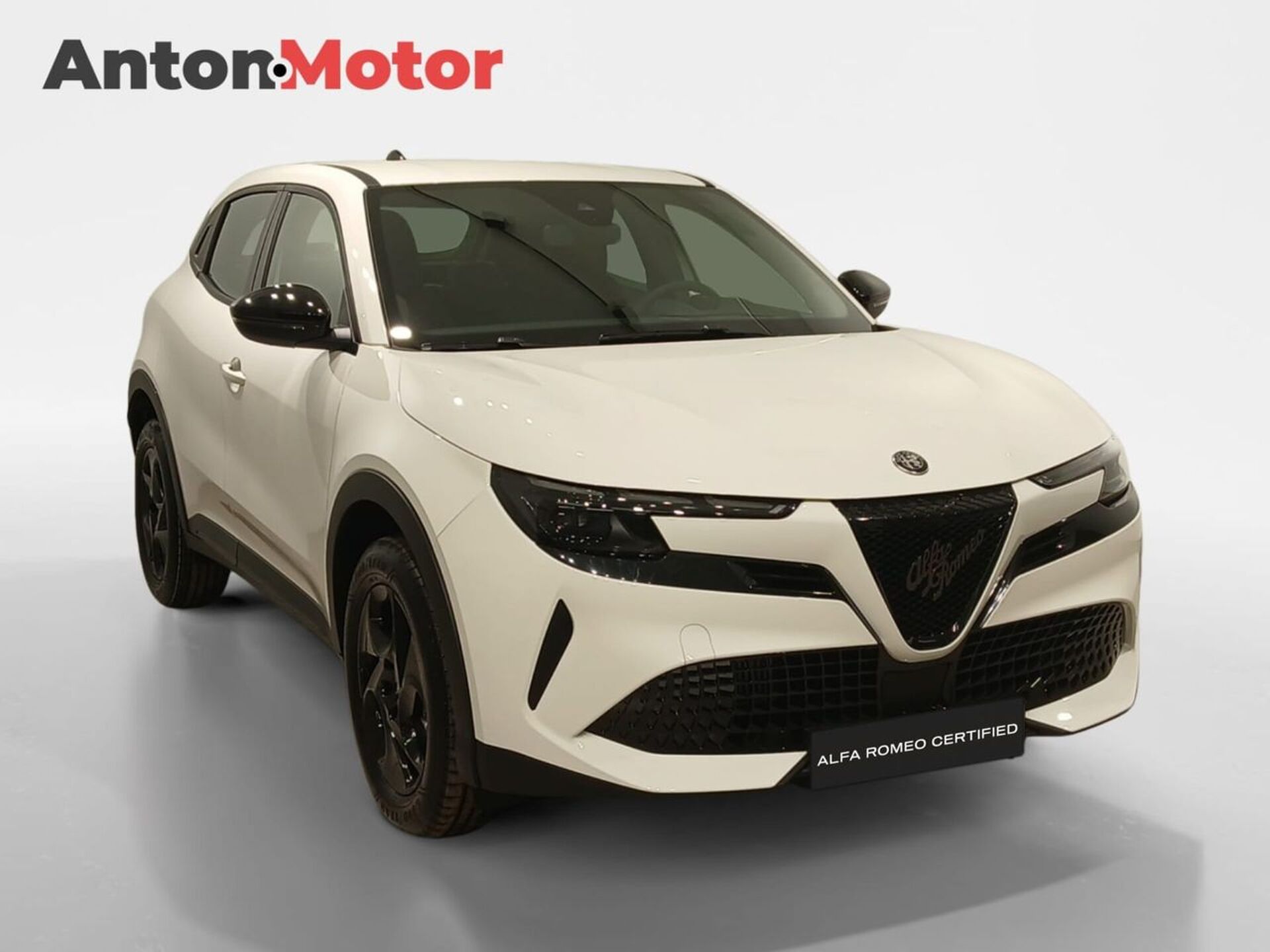 Imagen 3 de ALFA ROMEO Junior