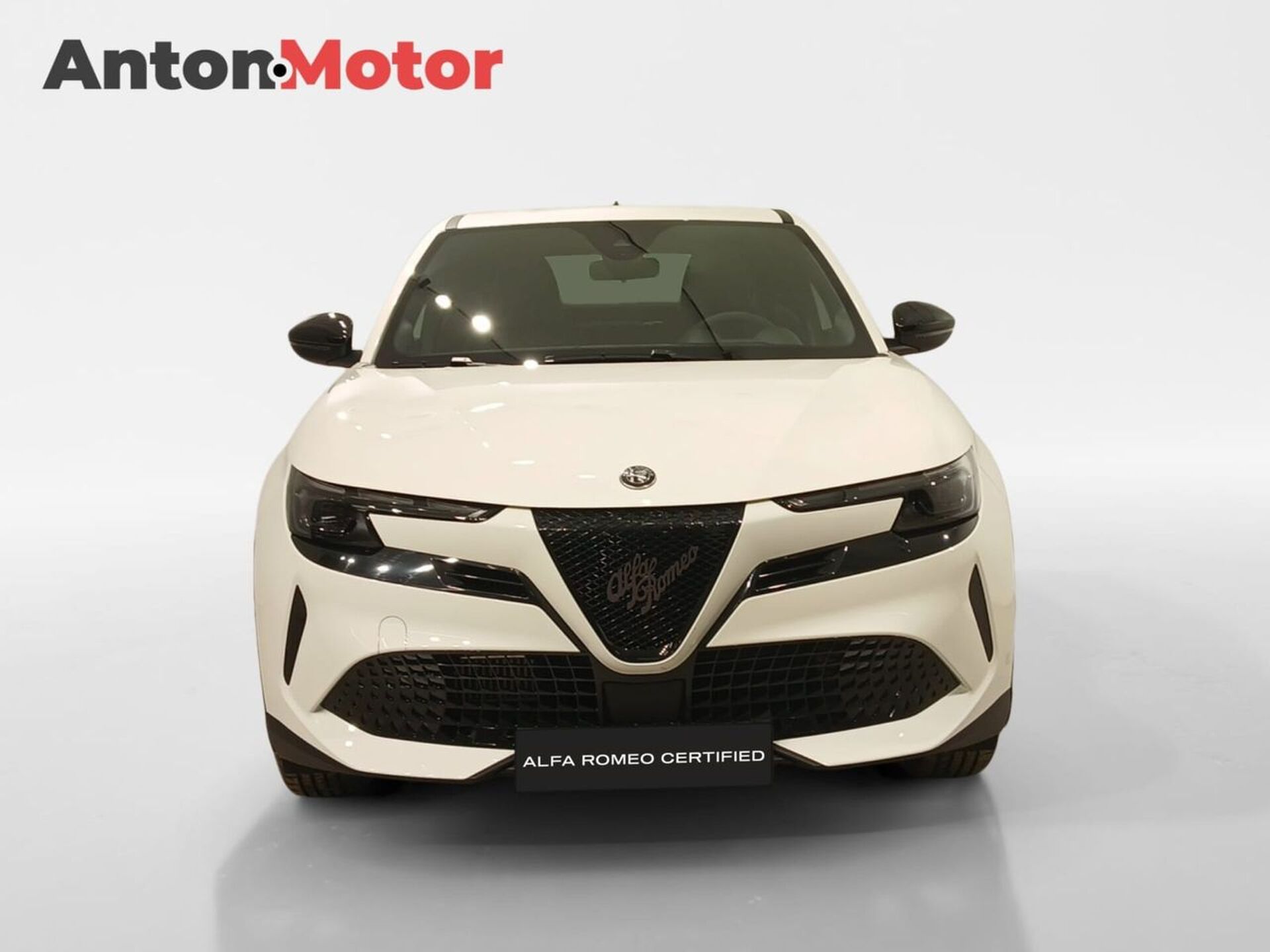 Imagen 2 de ALFA ROMEO Junior