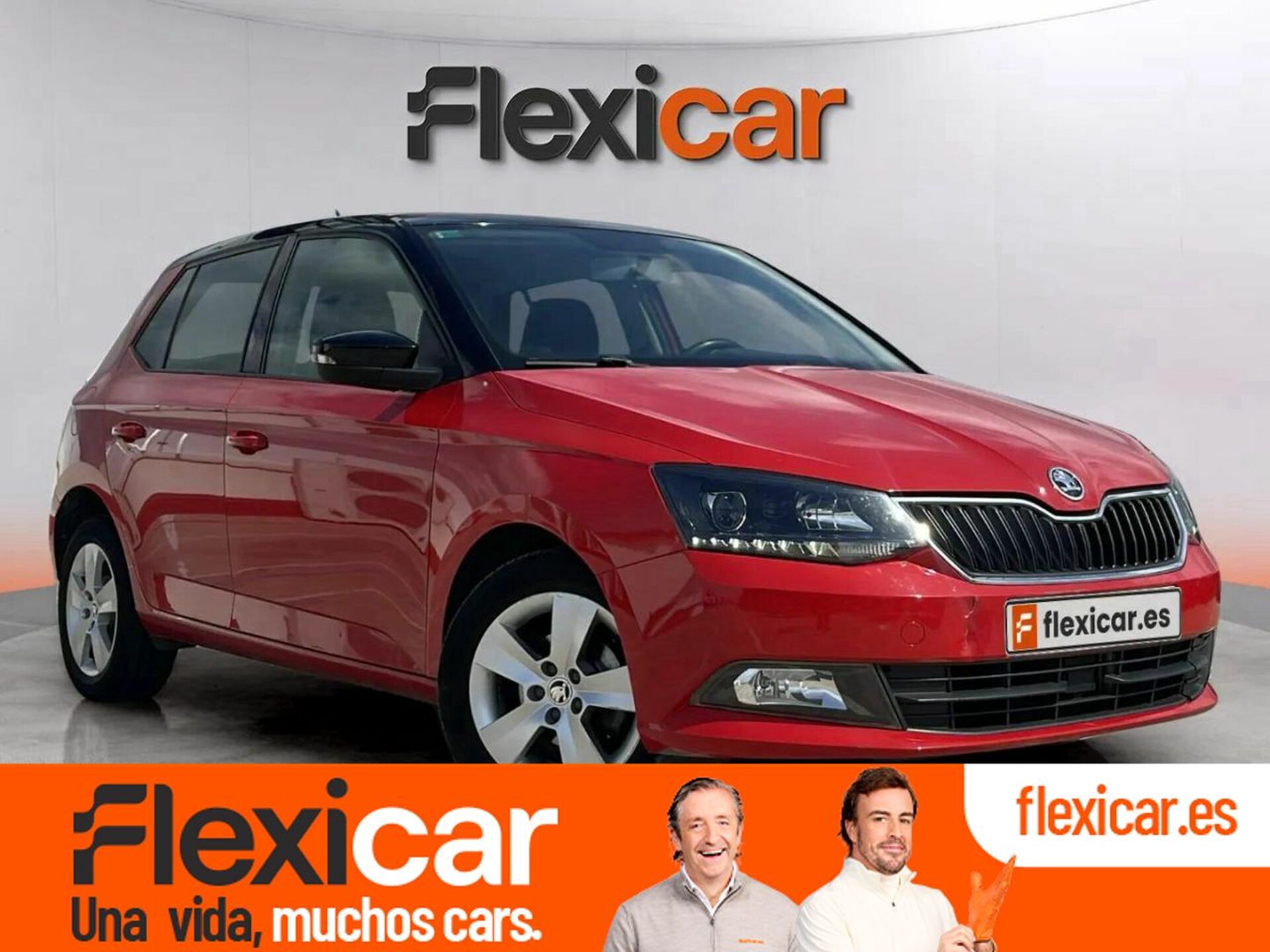 Imagen de SKODA Fabia