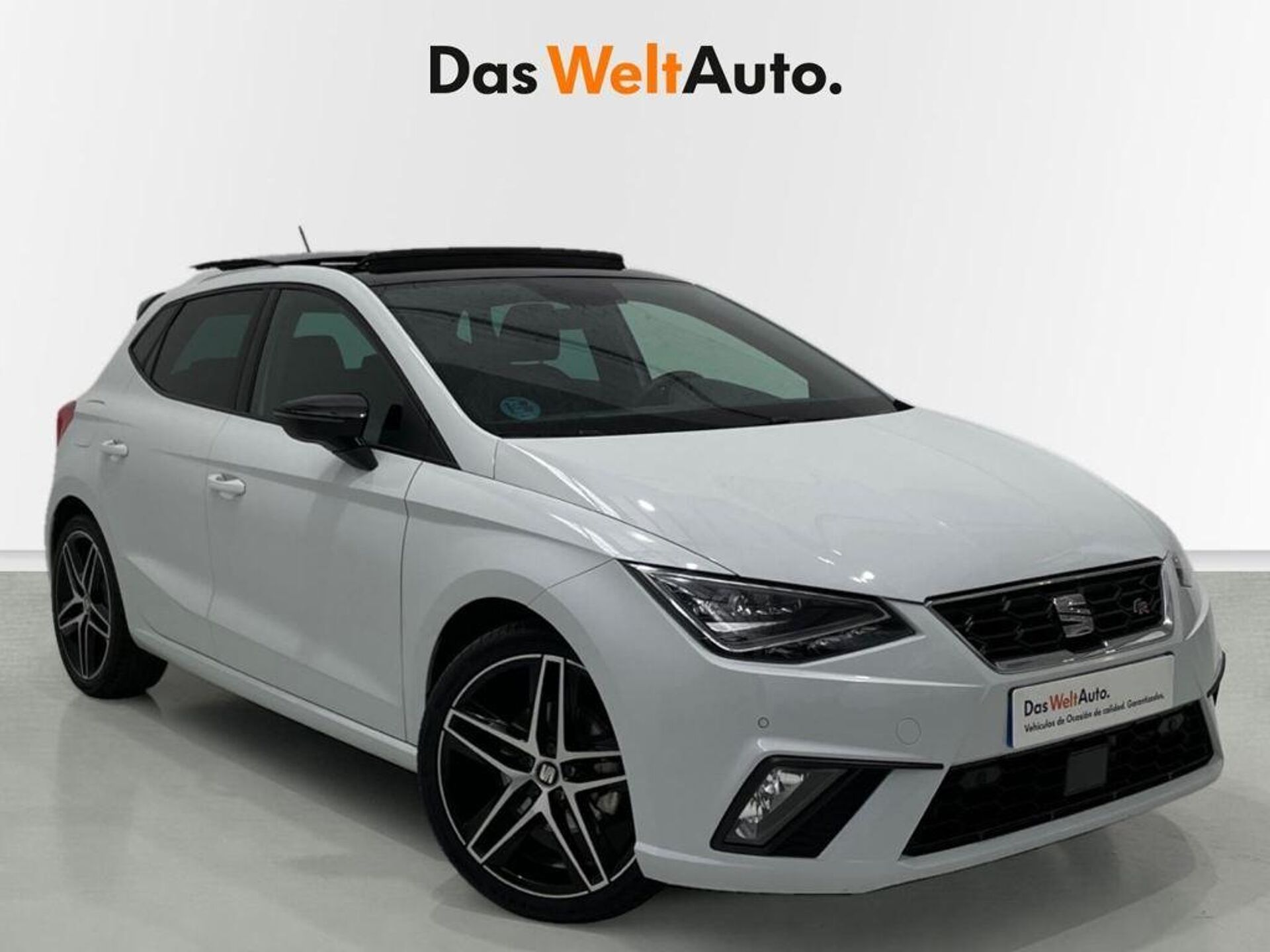 Imagen de SEAT Ibiza
