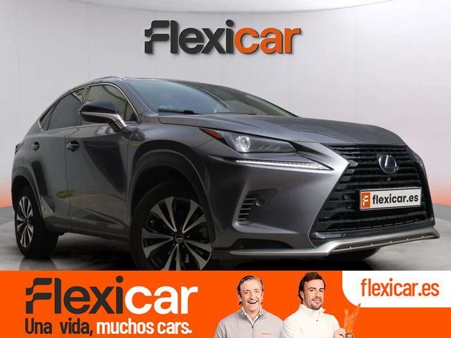 LEXUS NX (2.5 300h Executive 4WD) en Madrid
