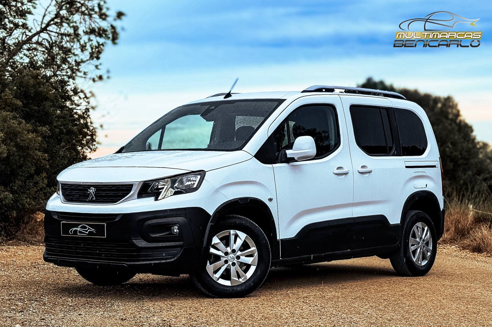 PEUGEOT Rifter (1.5BlueHDi S&S Long Active 100) en Castellón