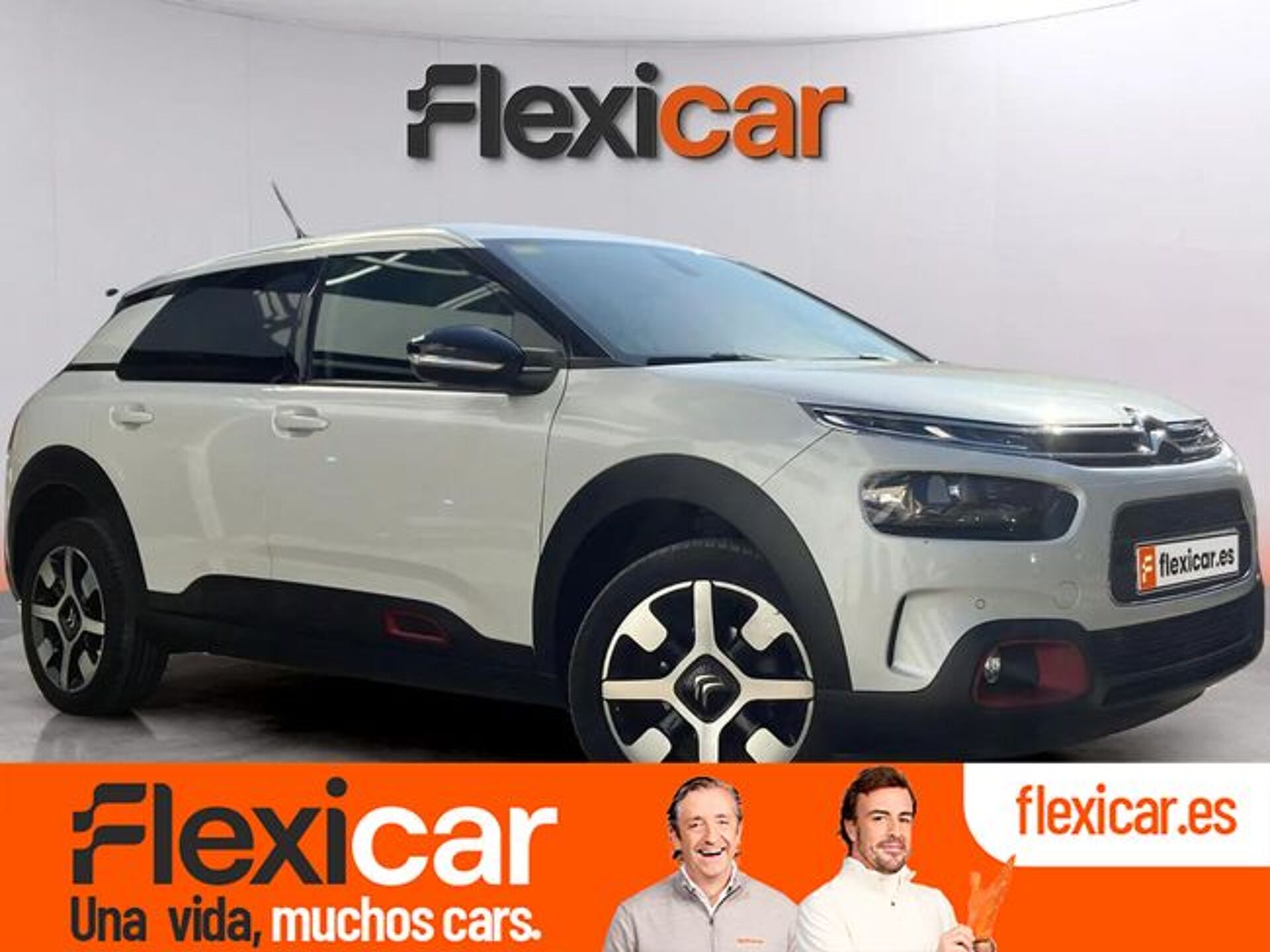 Imagen de CITROEN C4 Cactus