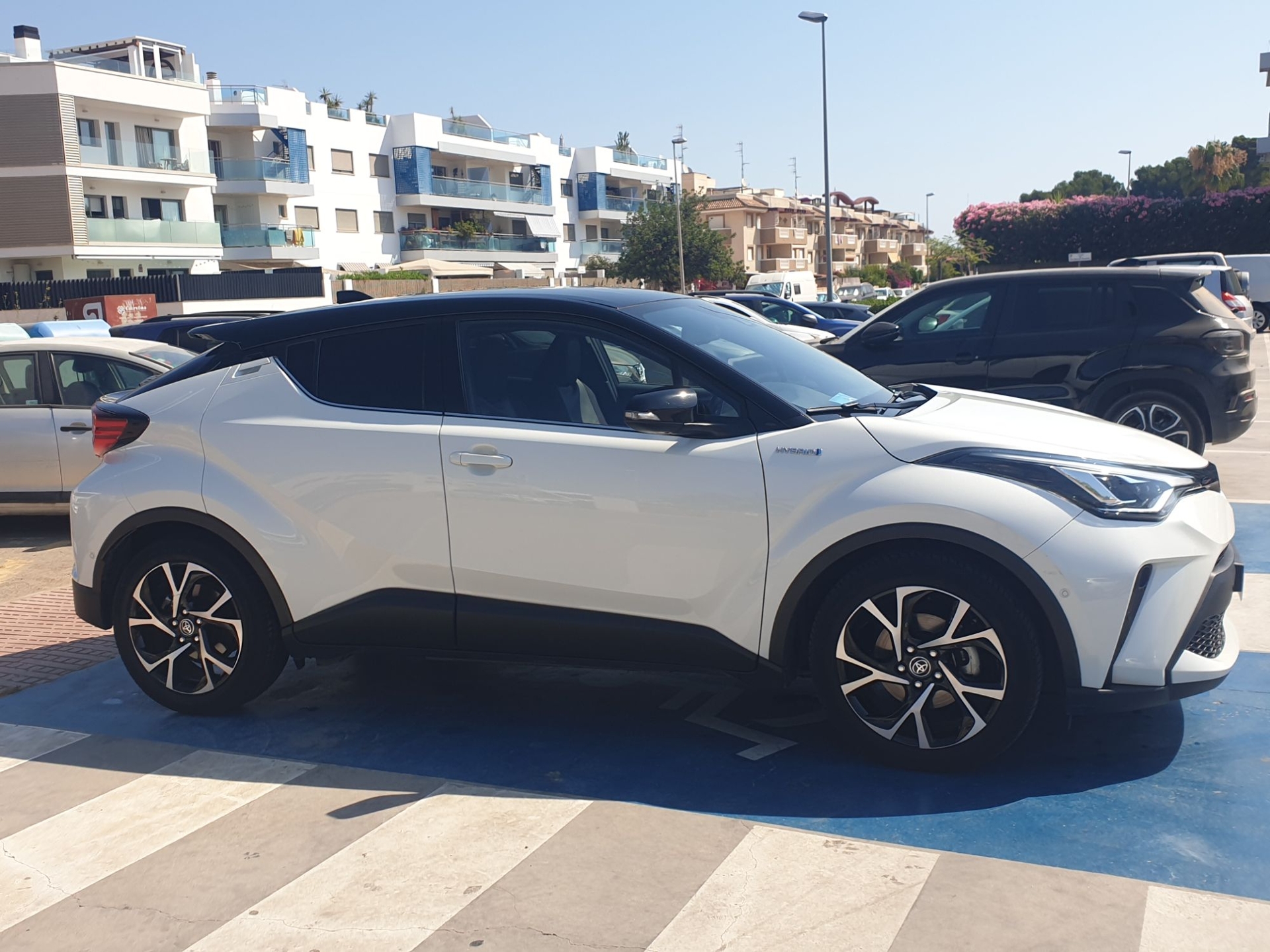 Imagen de TOYOTA C-HR