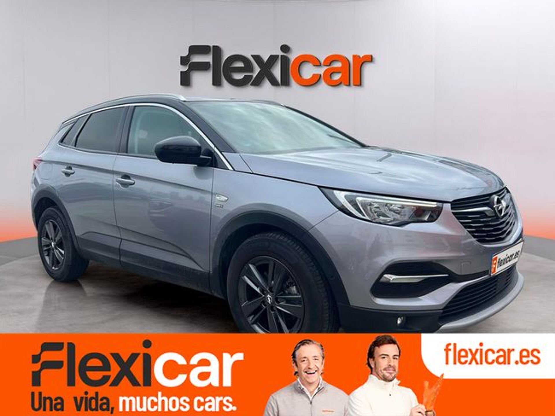 Imagen 1 de OPEL Grandland X