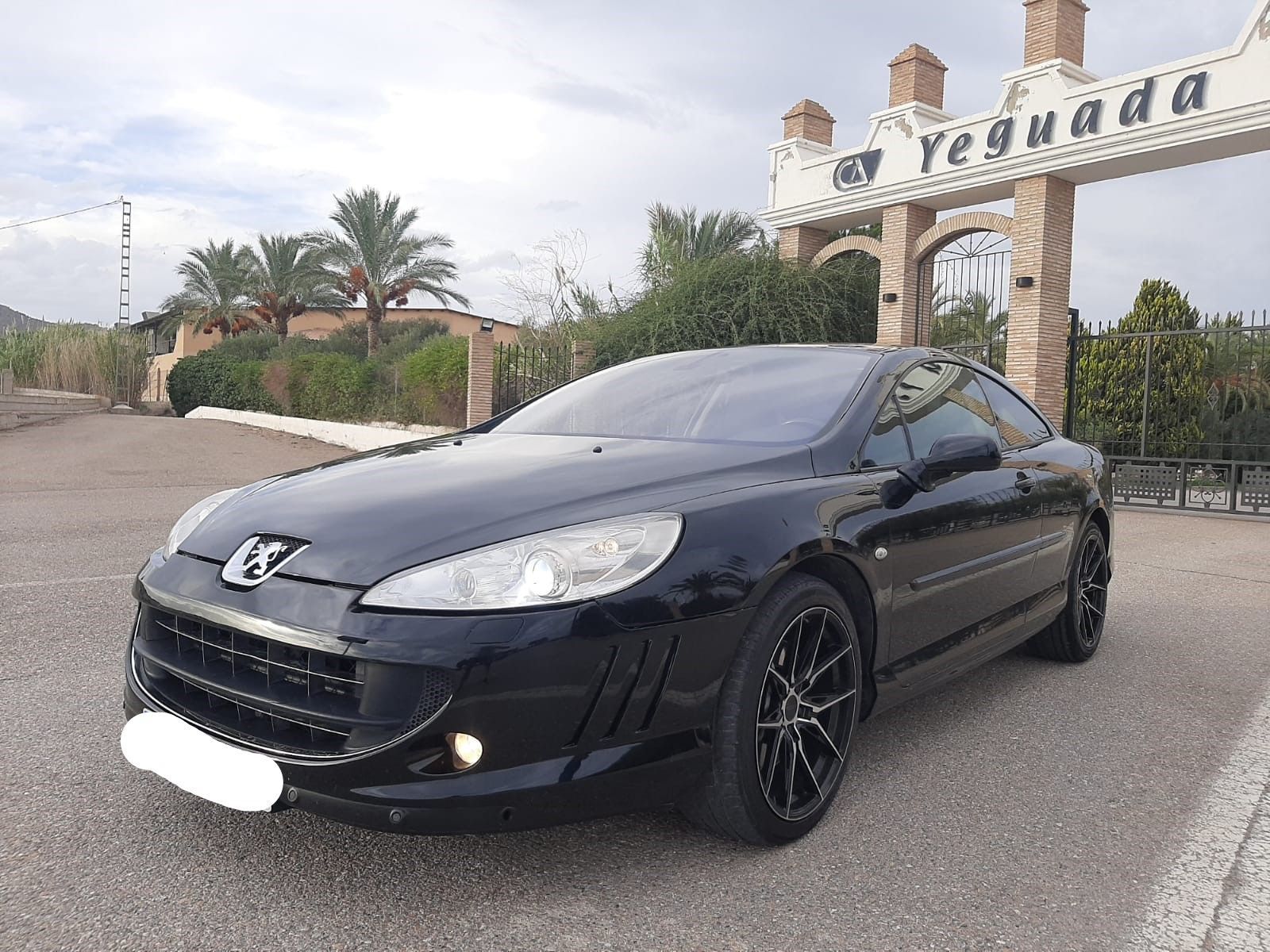 PEUGEOT 407 (Coupé 2.0HDI) en Murcia