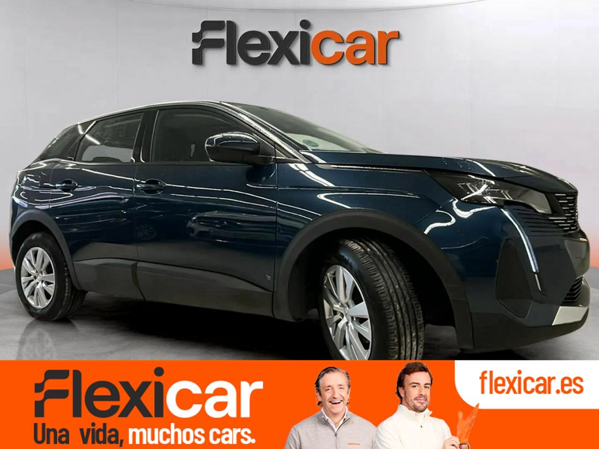 Imagen de PEUGEOT 3008