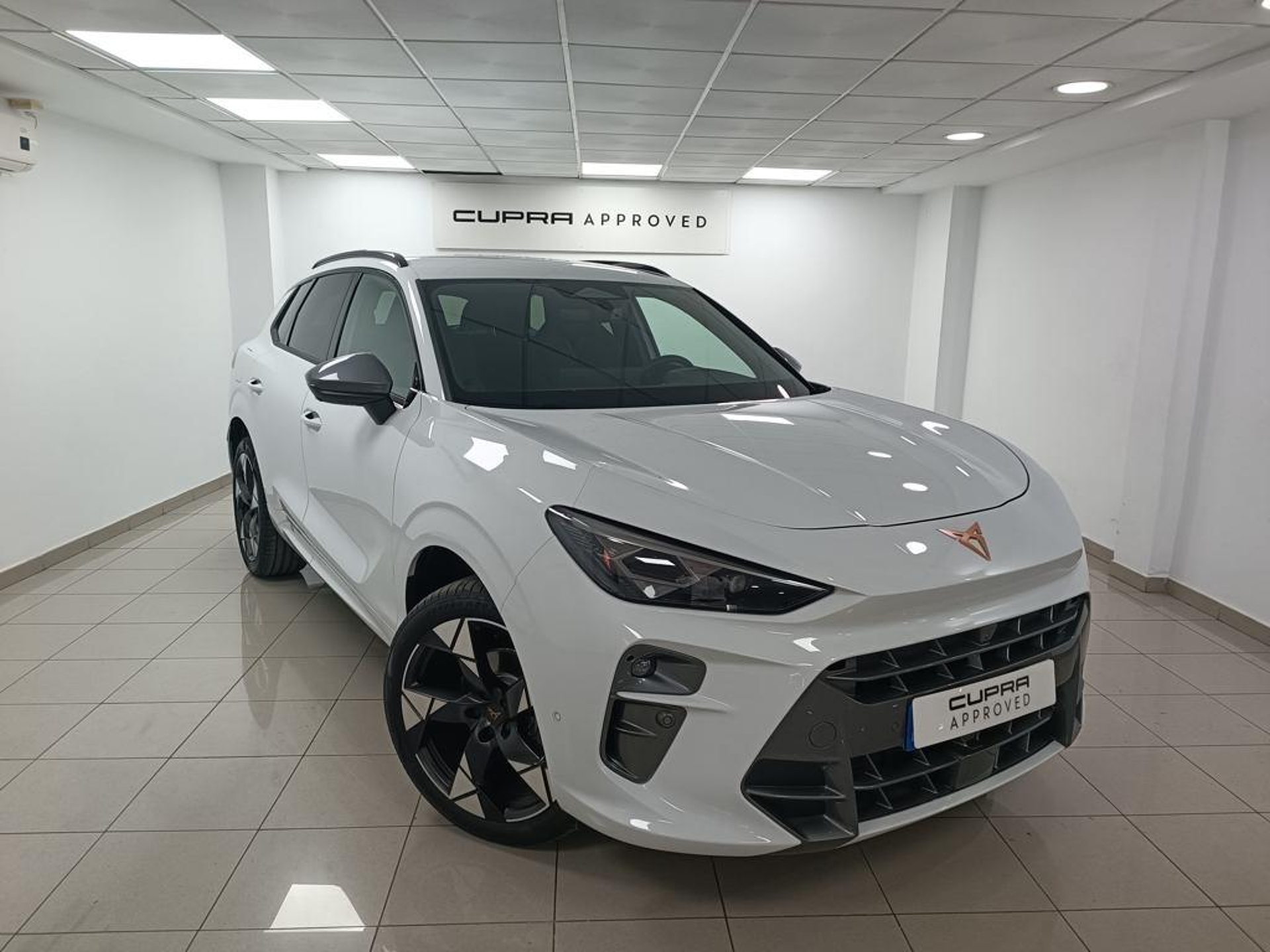 Imagen de CUPRA Terramar