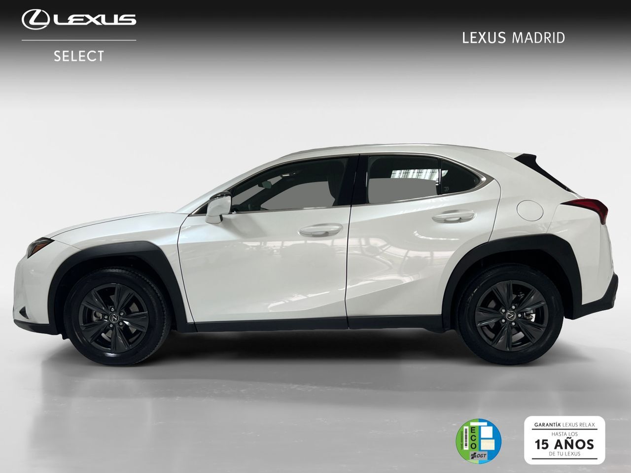 Foto del LEXUS UX 300h UX+
