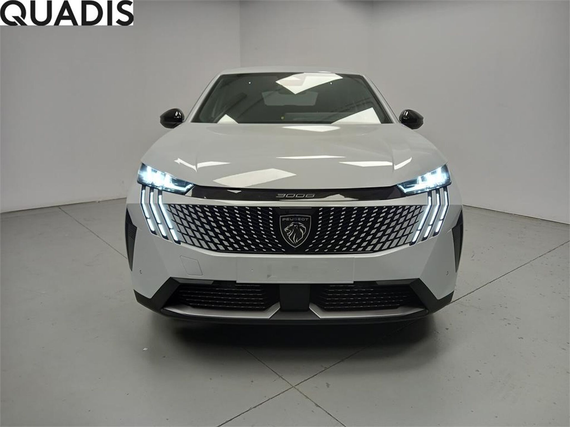 Imagen 2 de PEUGEOT 3008