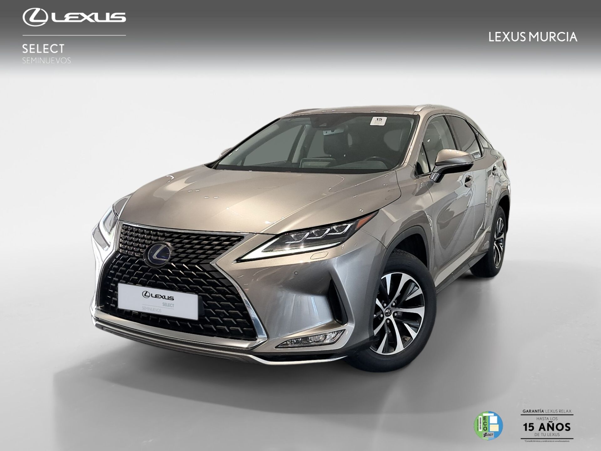 Imagen de LEXUS RX