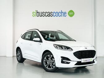 Imagen de FORD Kuga 1.5 EcoBoost ST-Line FWD 150