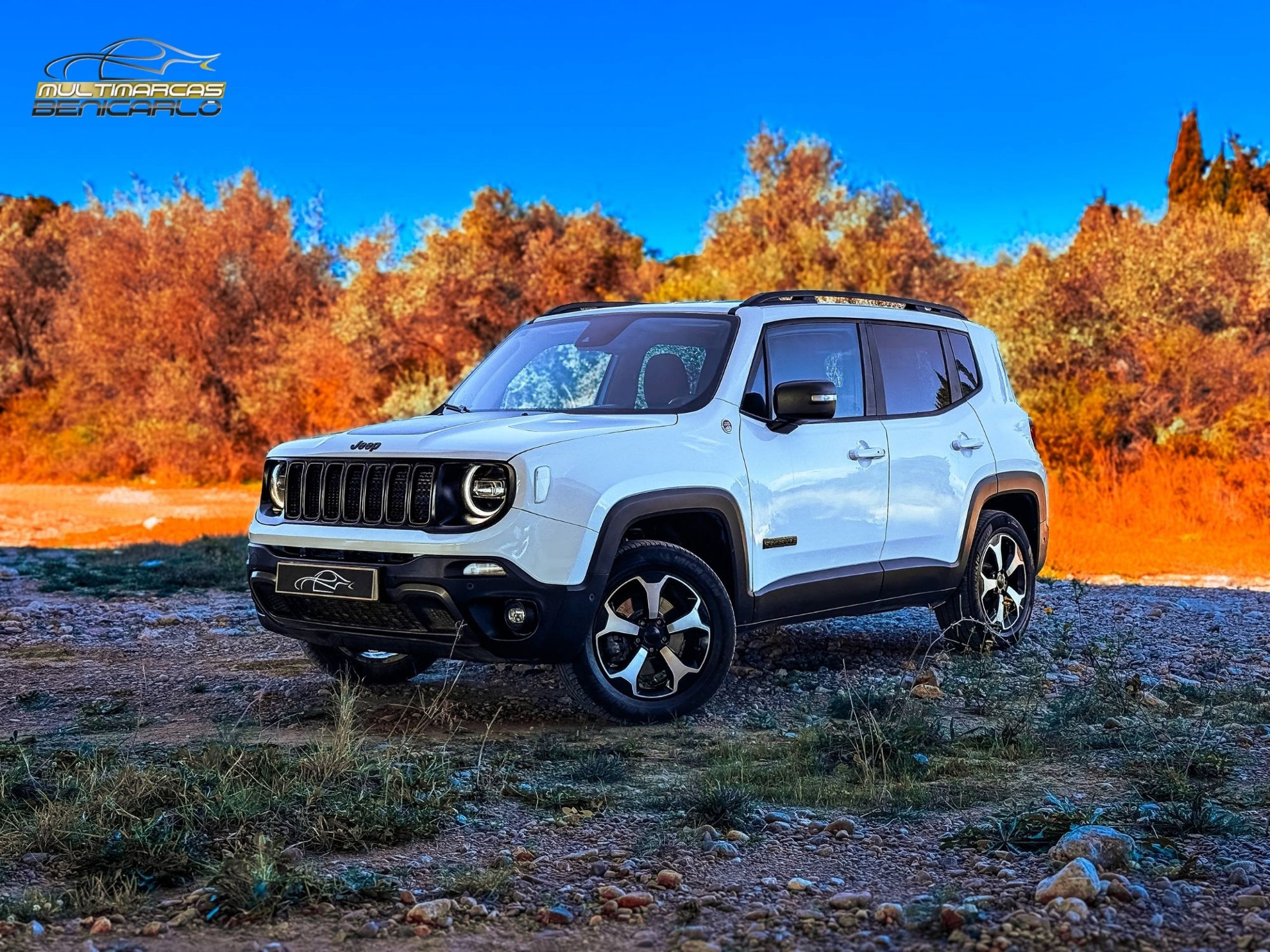 Imagen de JEEP Renegade