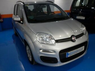 Imagen de FIAT Panda 1.2 Lounge