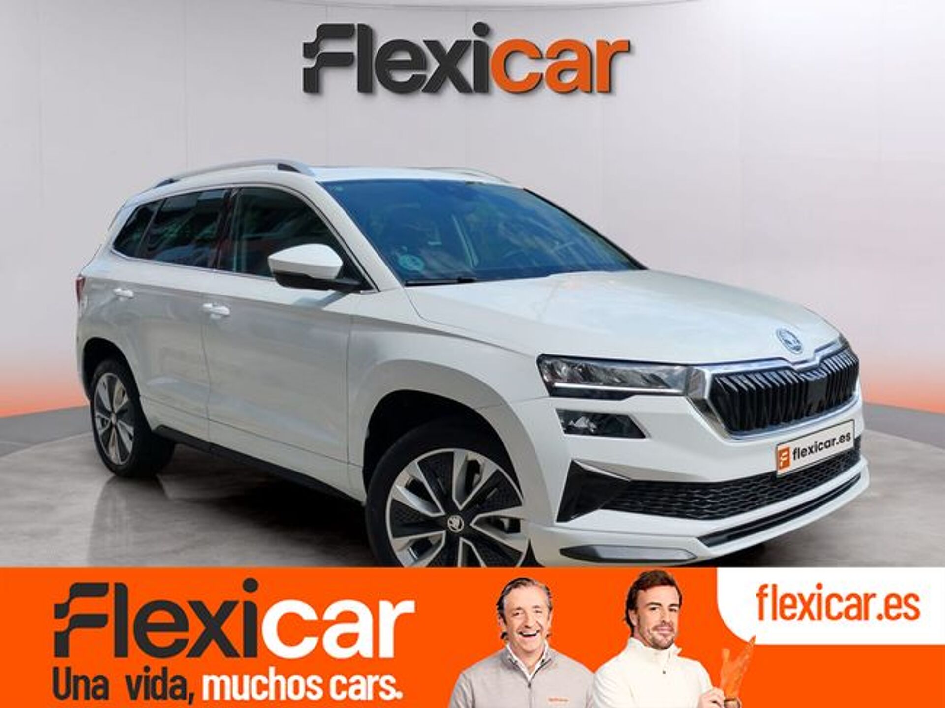 Imagen de SKODA Karoq