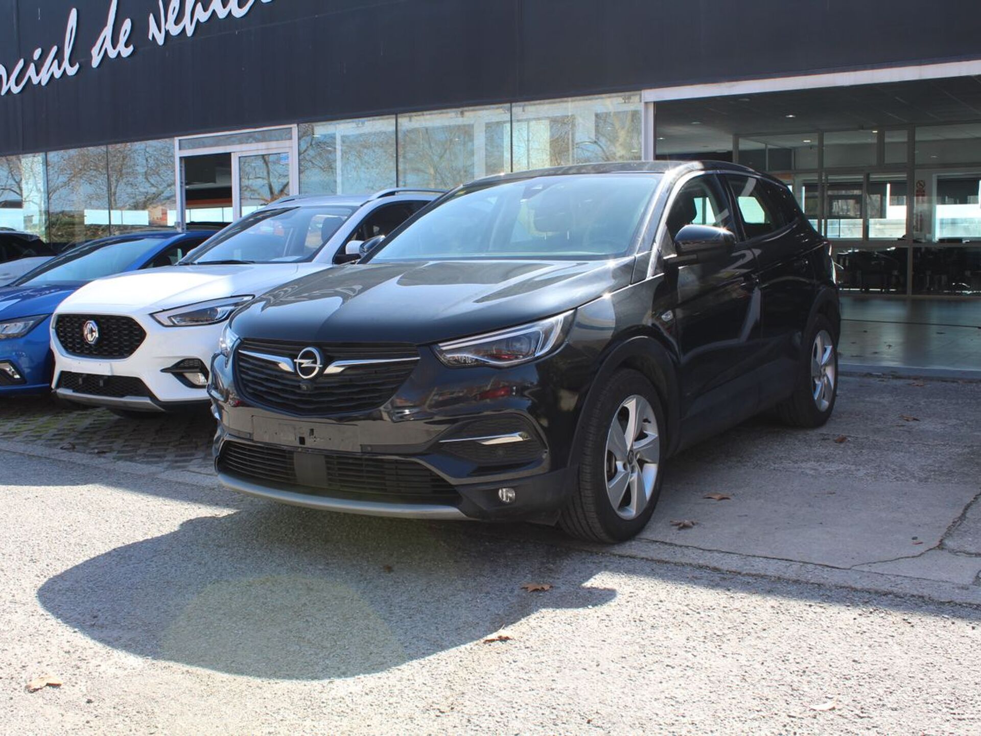 Imagen de OPEL Grandland