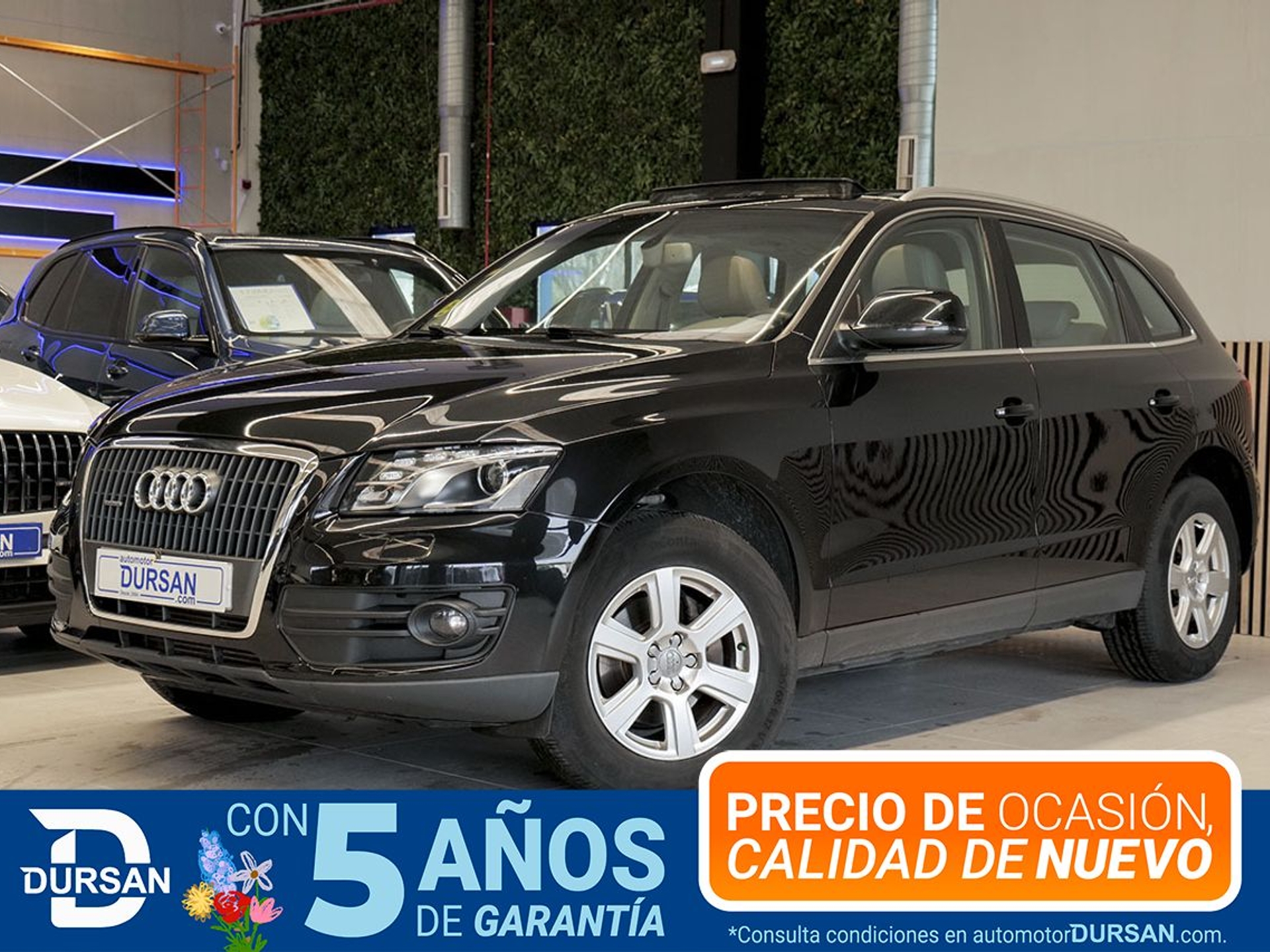 Imagen de AUDI Q5