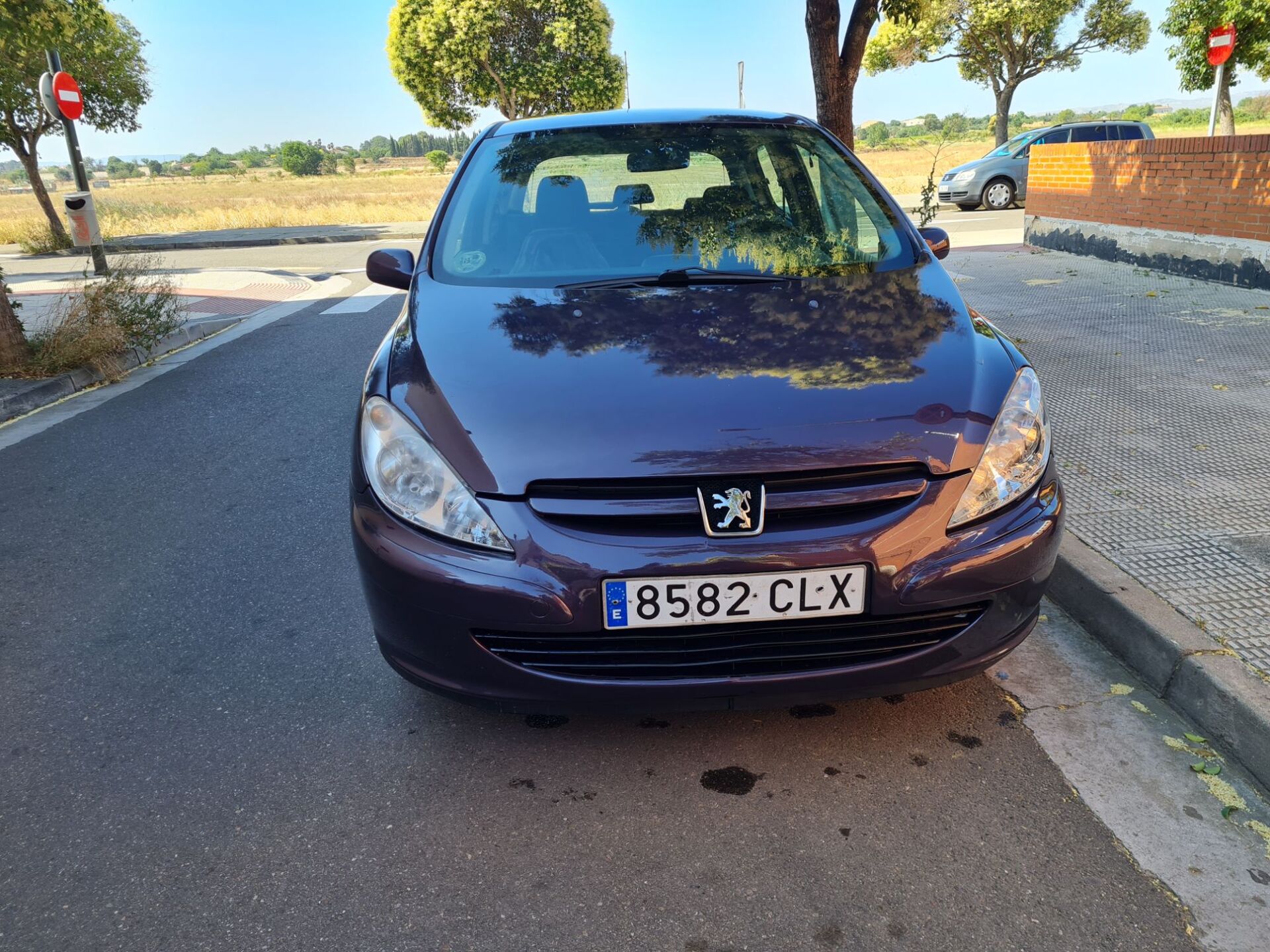 Imagen 1 de PEUGEOT 307