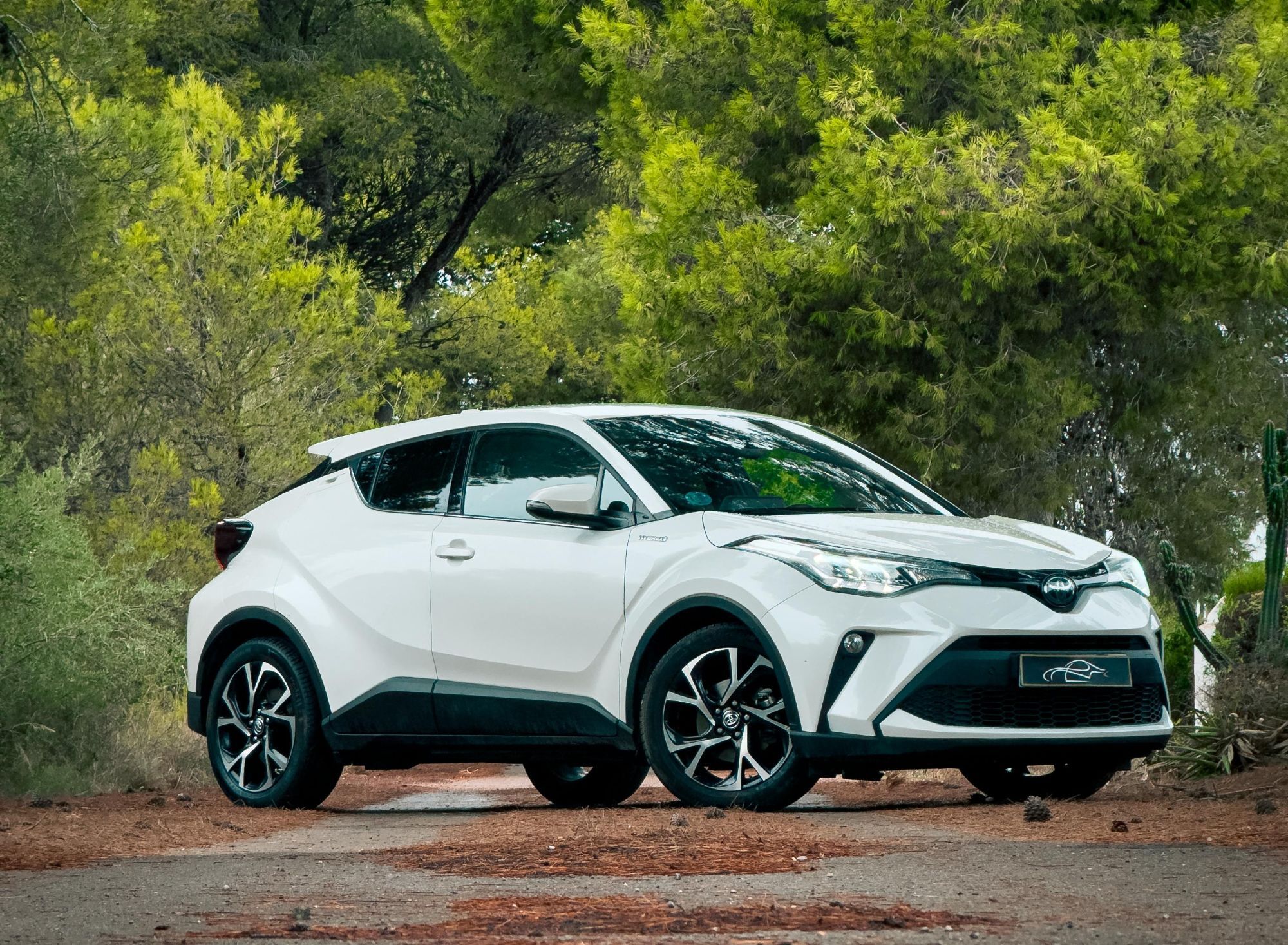 TOYOTA C-HR (125H Advance) en Castellón