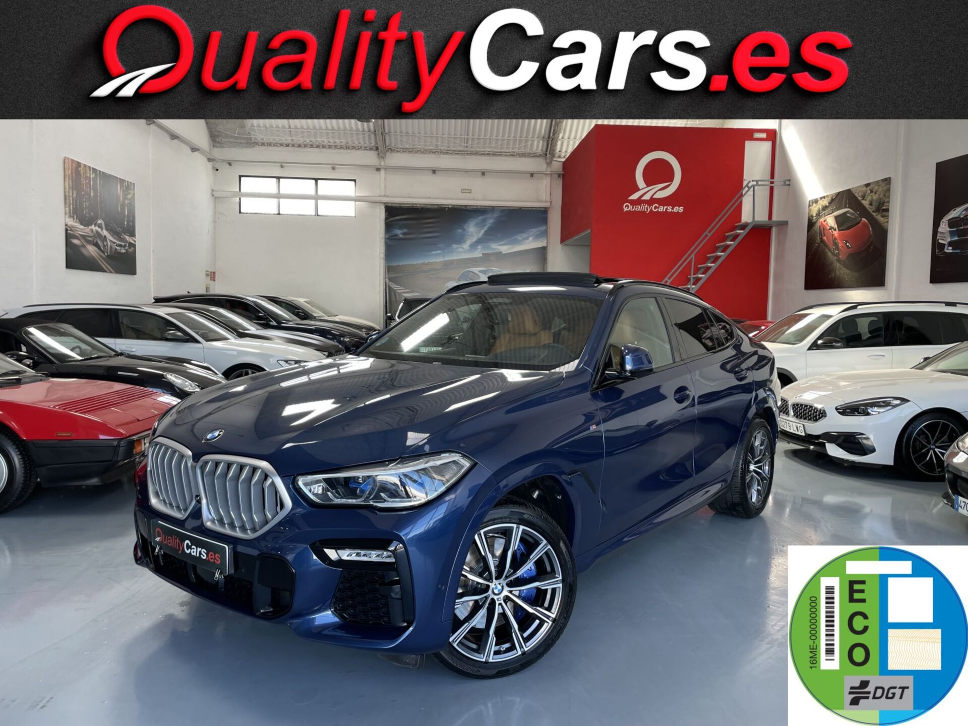 Imagen de BMW X6