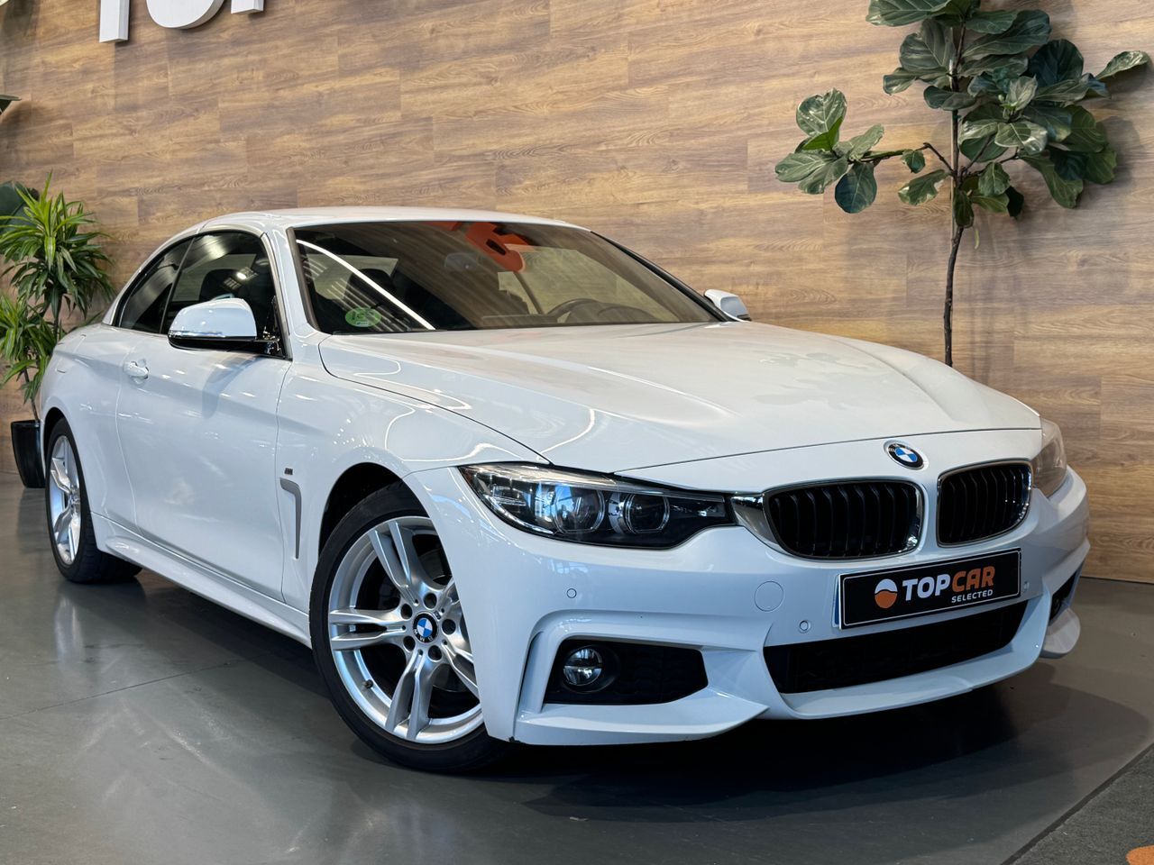 BMW Serie 4 (430 I Cabrio Pack M) en Vizcaya