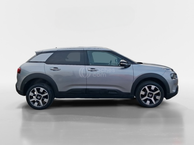 Foto del CITROEN C4 Cactus 1.6 BlueHDi Shine 100
