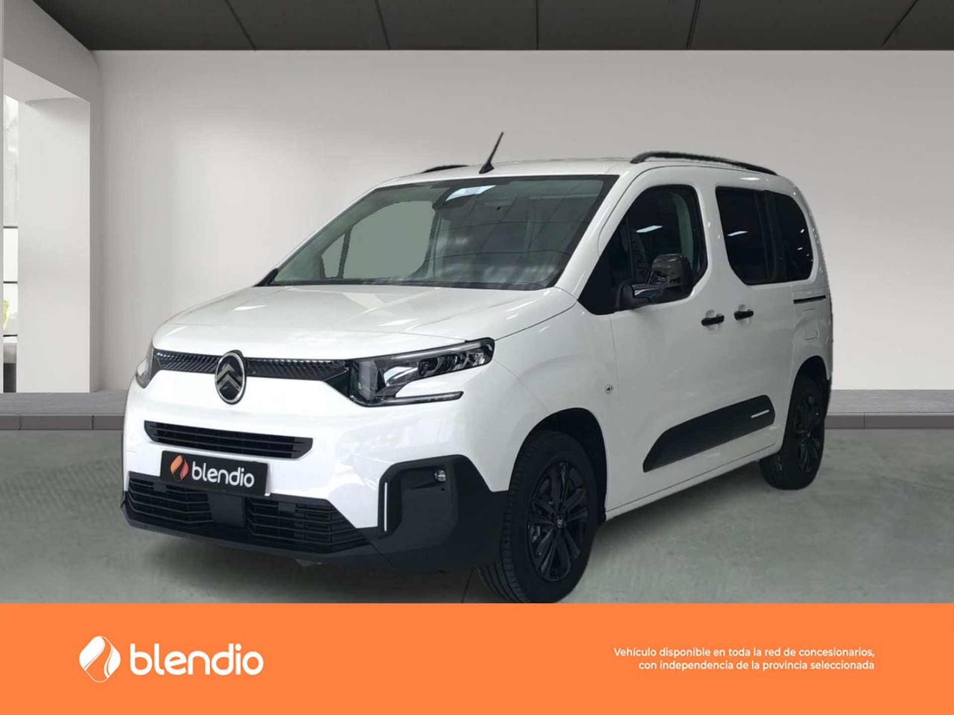 Imagen de CITROEN Berlingo