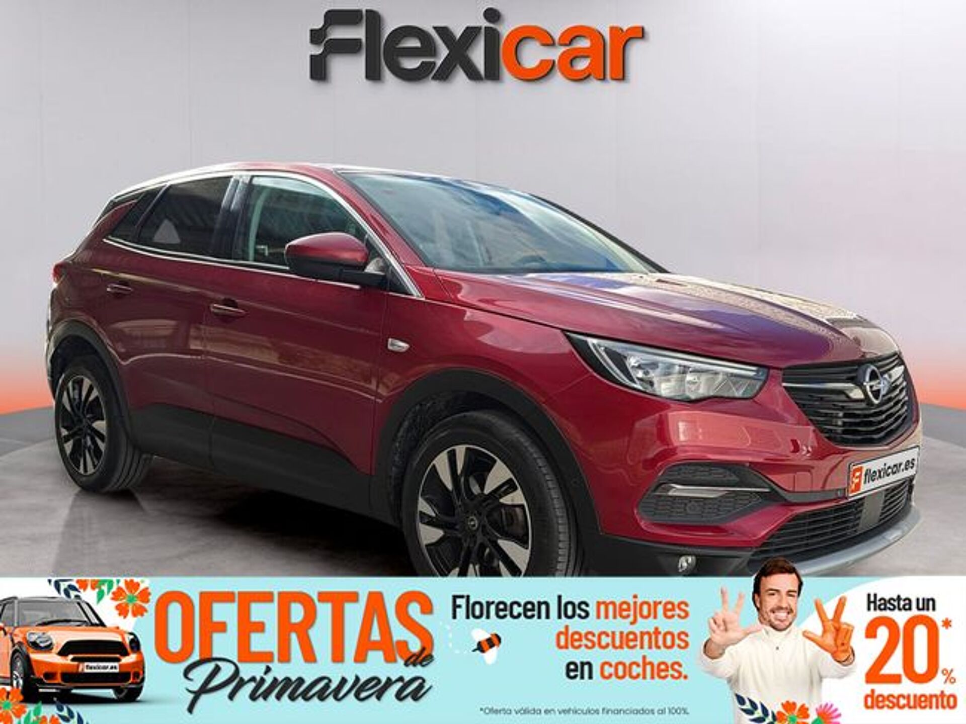 Imagen 1 de OPEL Grandland X