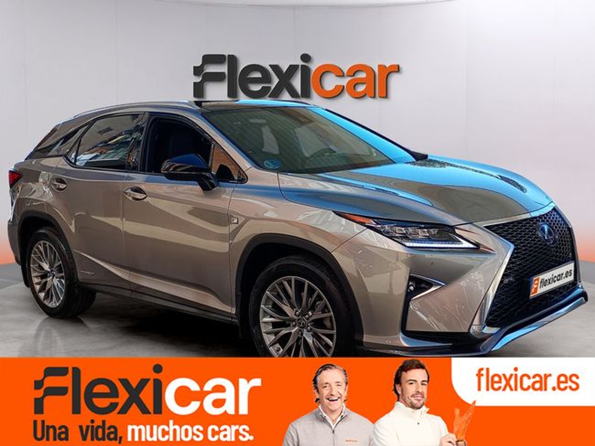 Imagen de LEXUS RX