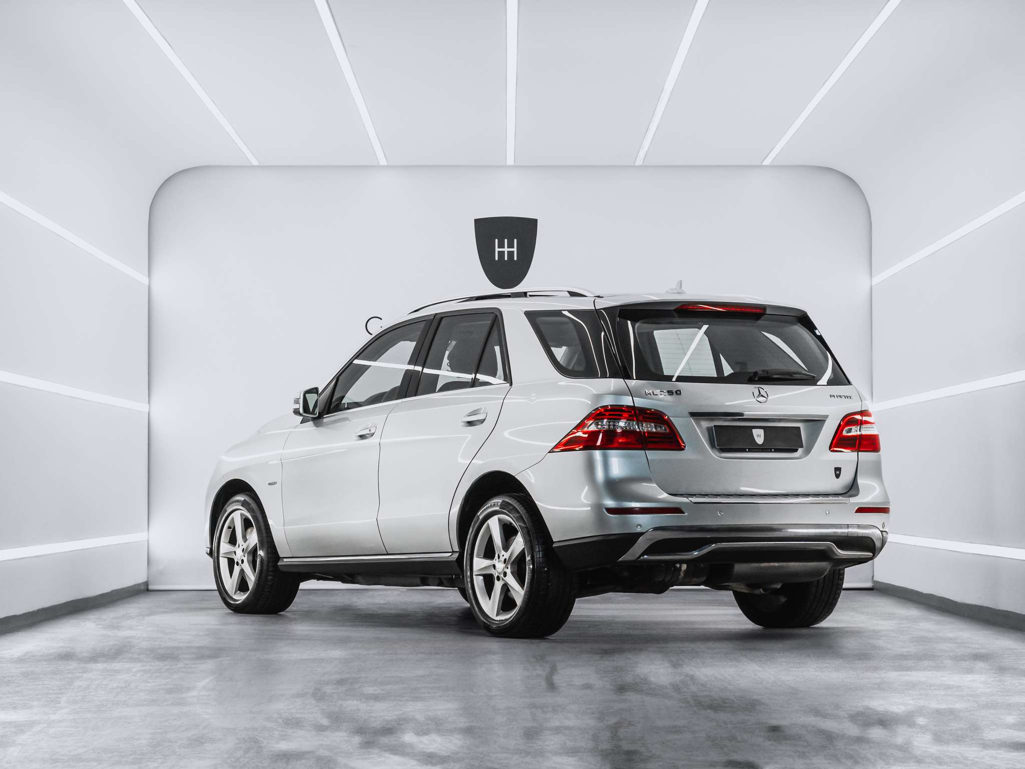 Foto del MERCEDES Clase M ML 250BlueTec 4M 7G Plus