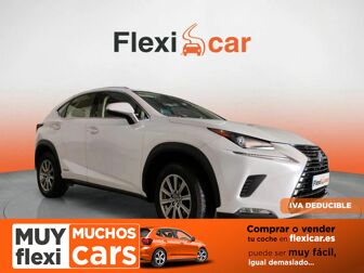 Imagen de LEXUS NX 300h Business 2WD