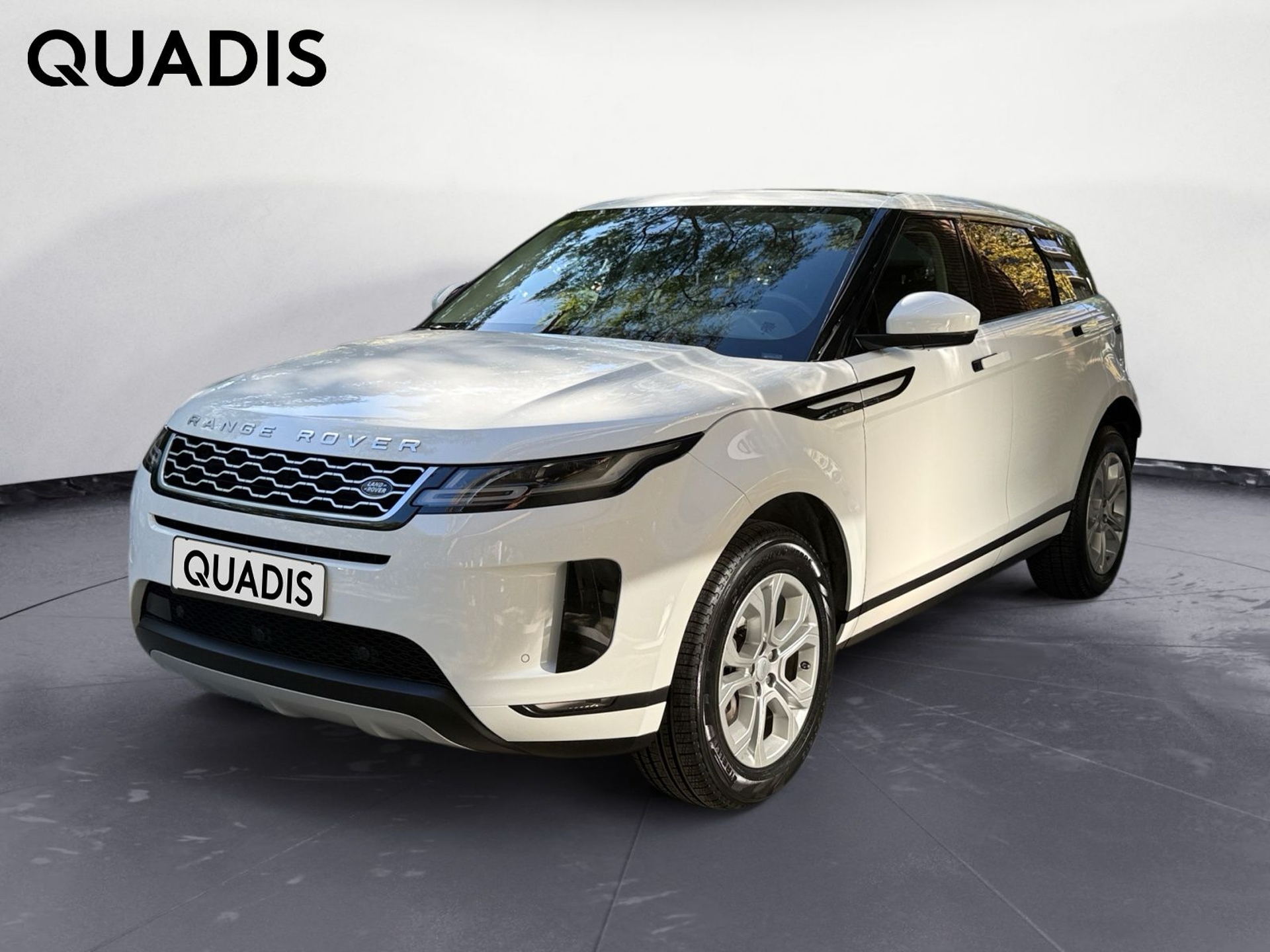 Imagen de LAND ROVER Range Rover Evoque