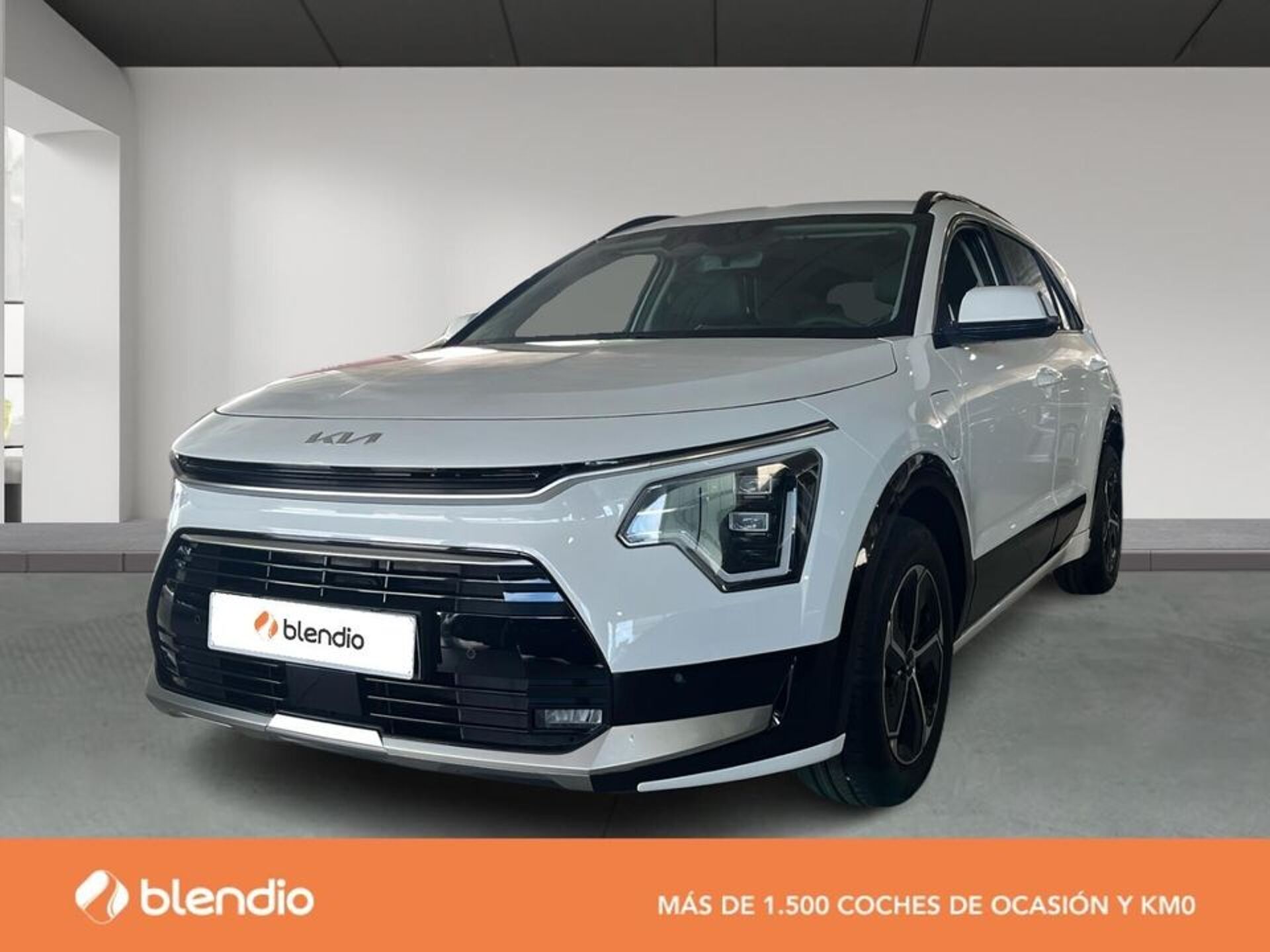 Imagen 1 de KIA Niro