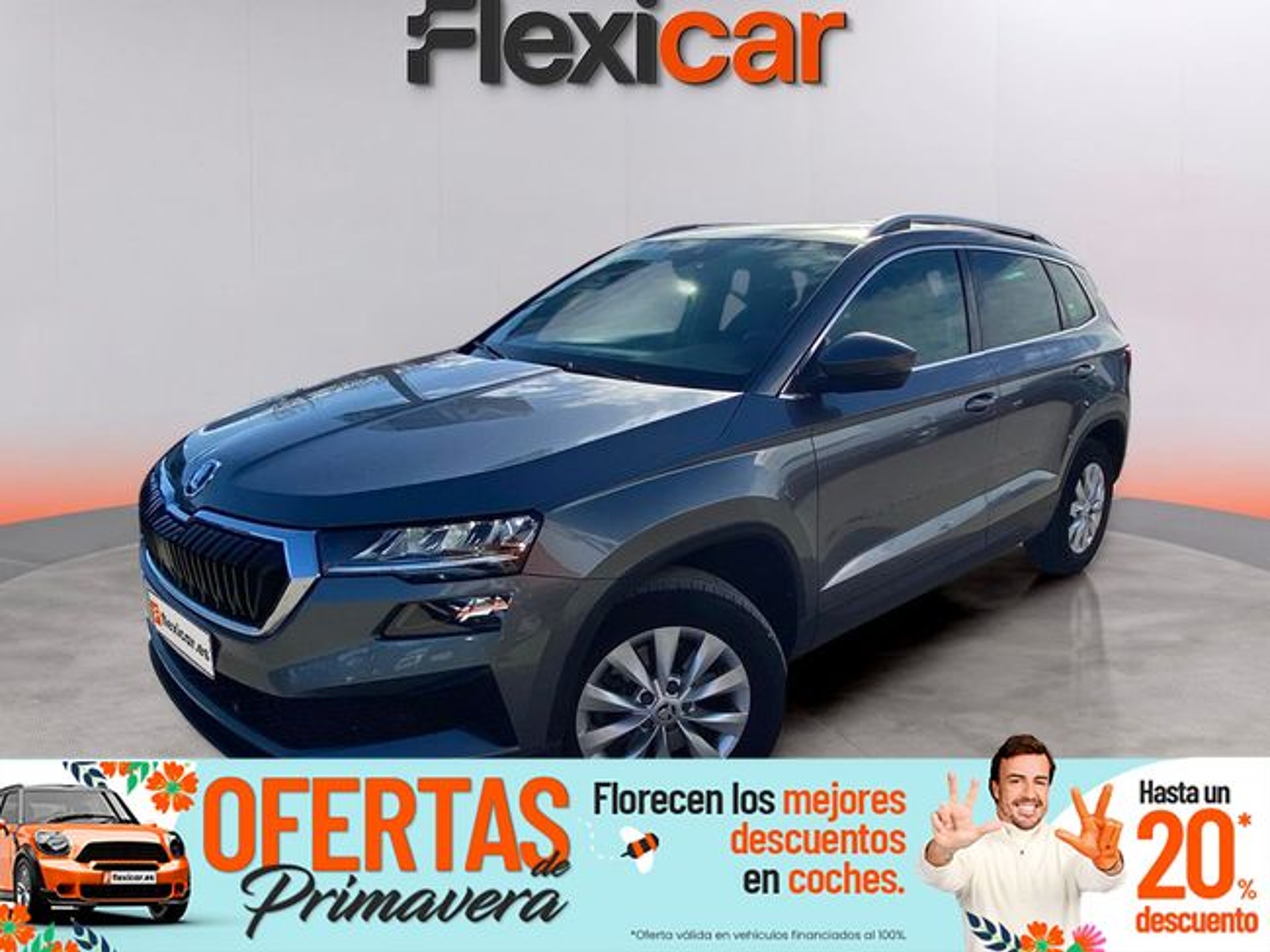 Imagen de SKODA Karoq