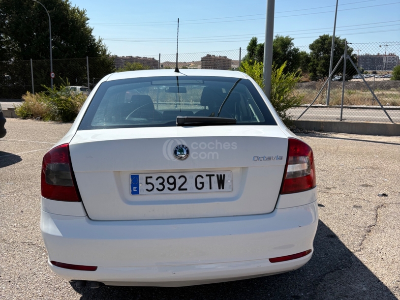 Foto del SKODA Octavia 1.9TDI Collection