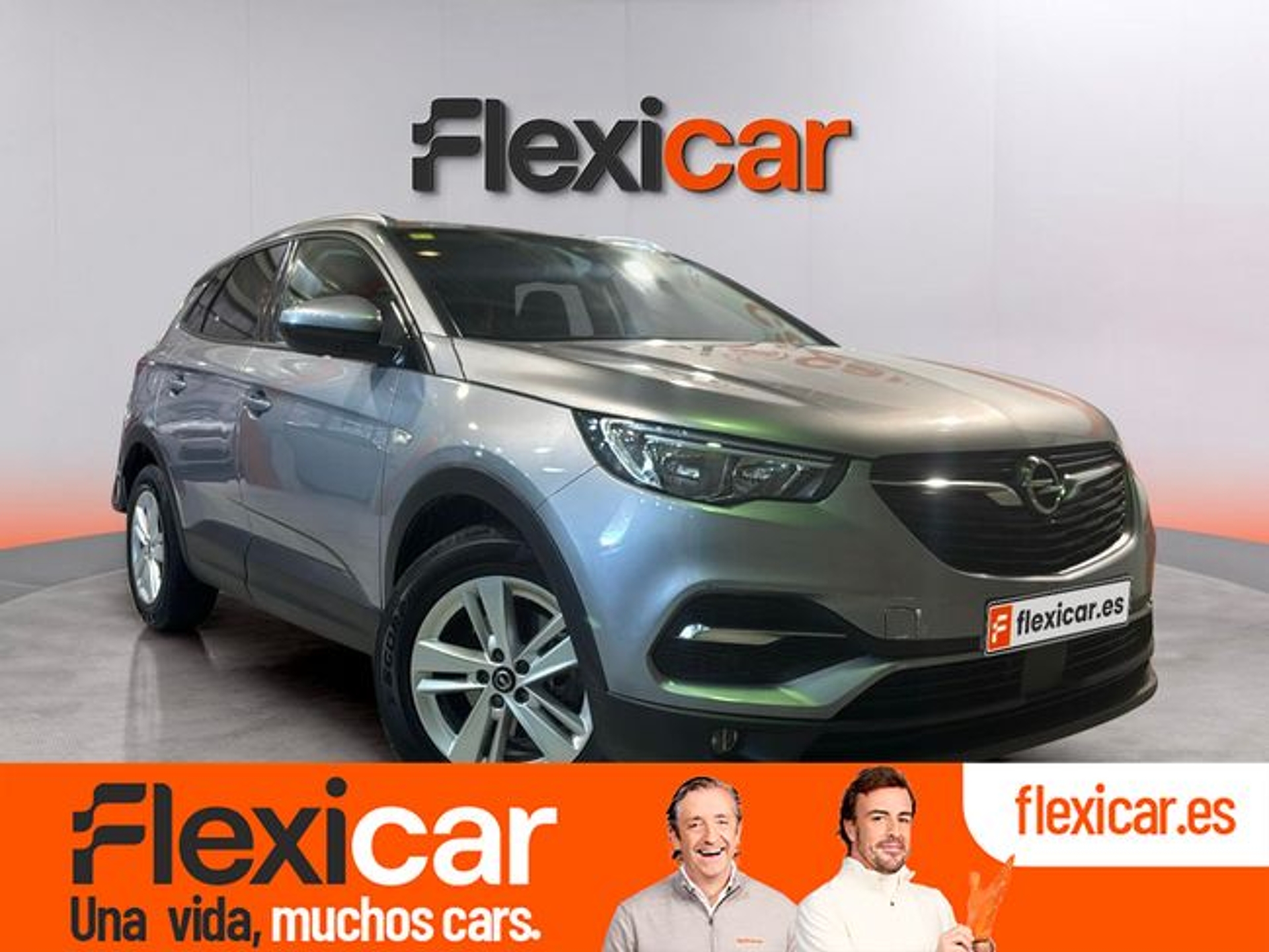 Imagen de OPEL Grandland X