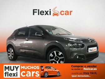 Imagen de CITROEN C4 Cactus 1.5BlueHDi S&S Shine EAT6 120