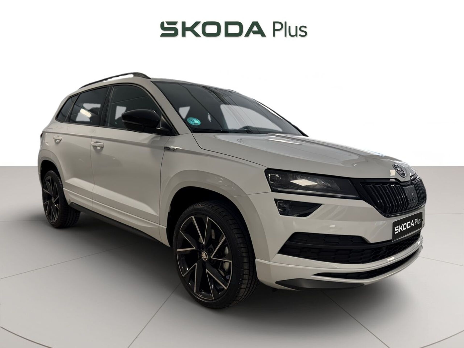Imagen de SKODA Karoq