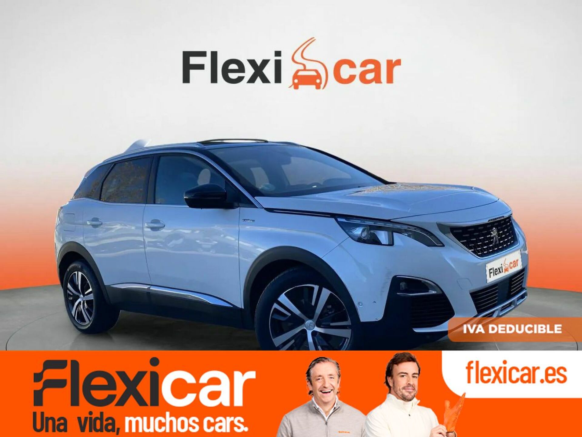 Imagen de PEUGEOT 3008