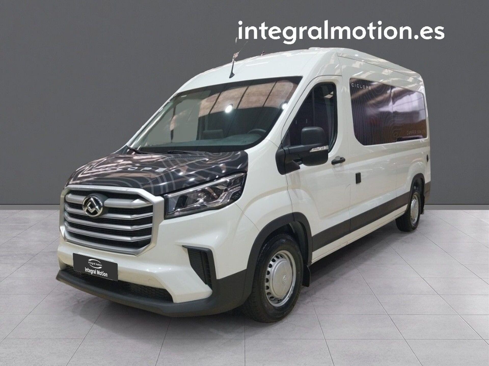 Imagen de MAXUS Deliver 9