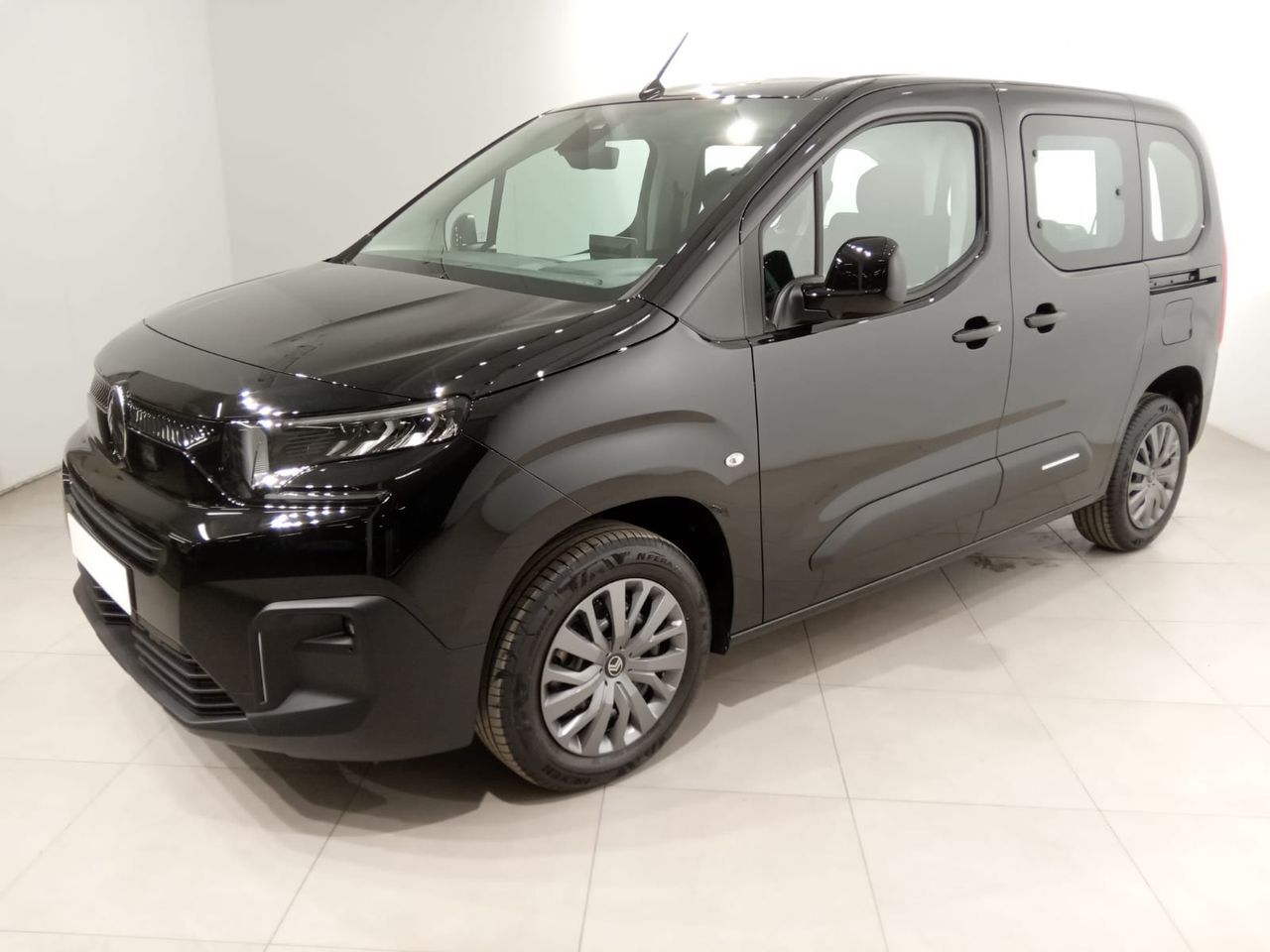 CITROEN Berlingo (Talla M BlueHDi 100 S&S PLUS) en Álava