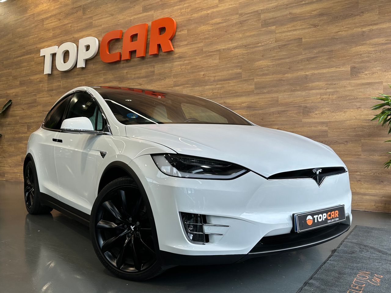 TESLA Model X (100 D 4wd) en Vizcaya