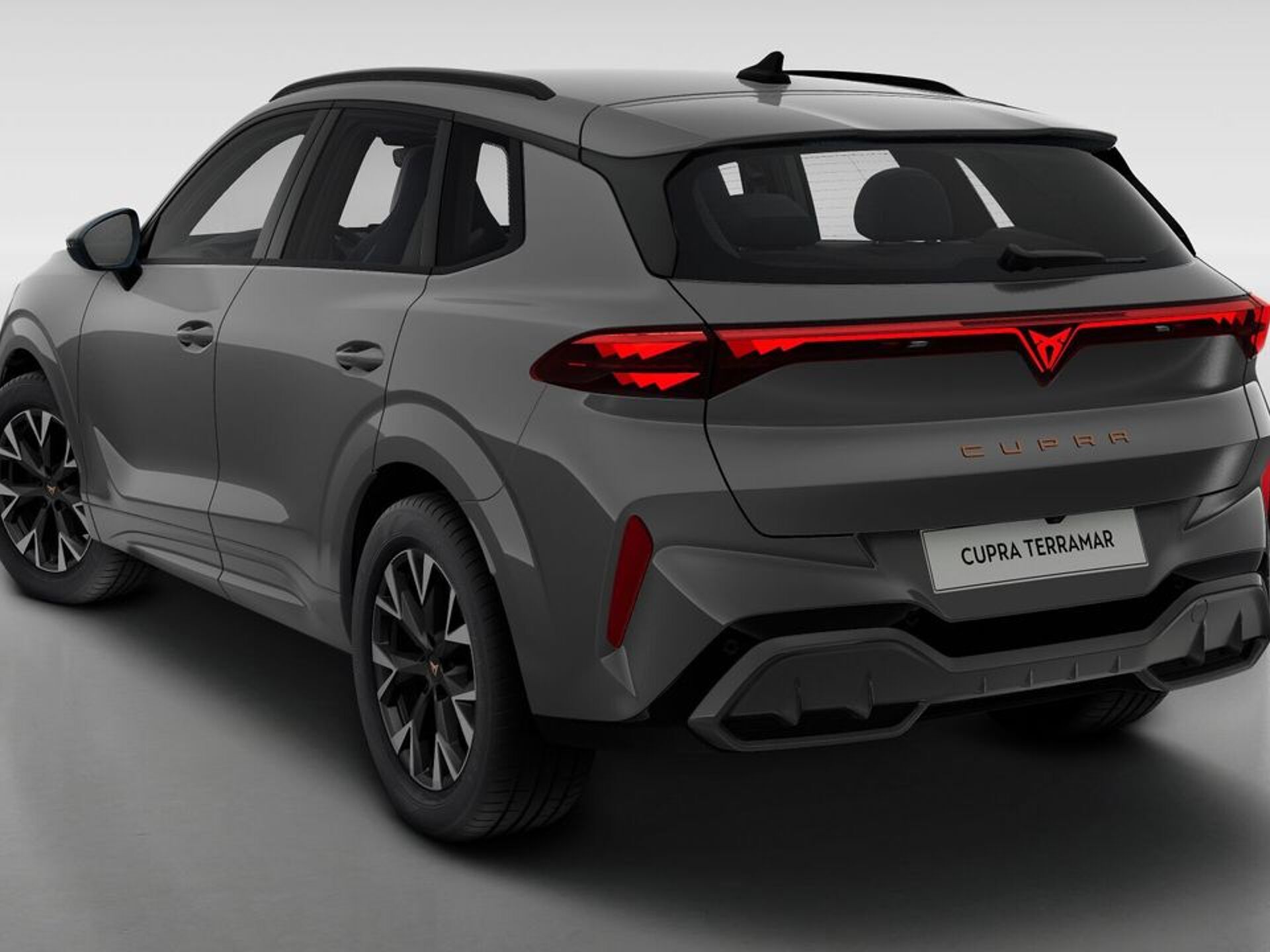 Imagen 3 de CUPRA Terramar