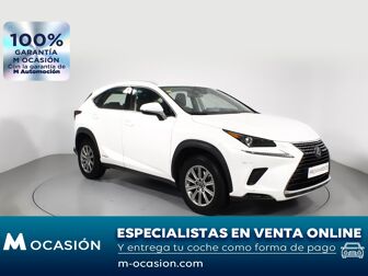 Imagen de LEXUS NX 300h Business 2WD